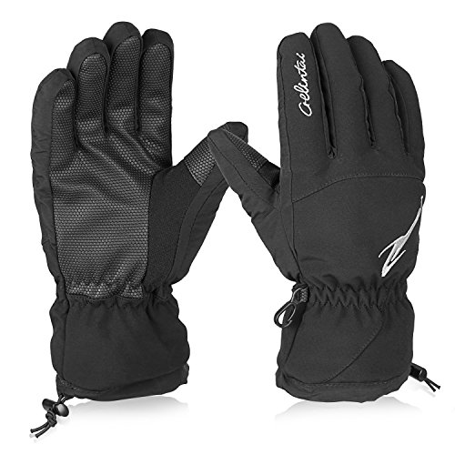 HiCool Skihandschuhe Erwachsene Wasserdichte Winterhandschuhe Schnee Handschuhe Outdoor Handschuhe Sport Handschuhe für Damen und Herren (L, Schwarz)