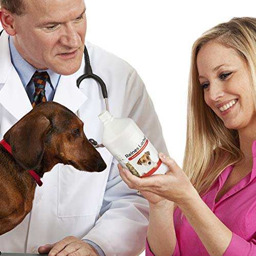 Jean K. - vet® Reines Lachsöl Omega 3 für Hunde –Einzelfuttermittel für ...